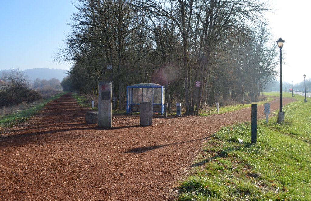 Amazon Trail
