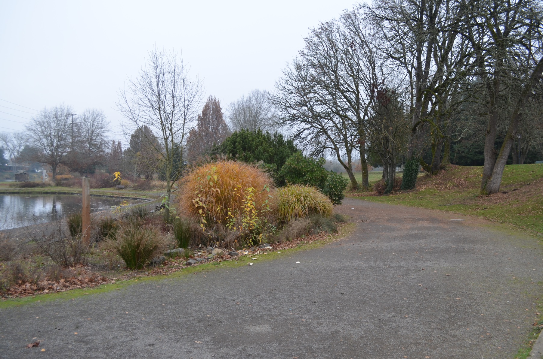 Pre's Trail
