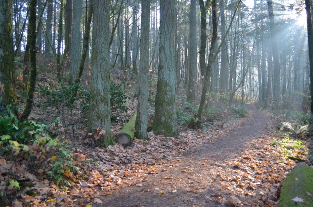 Hendricks Park