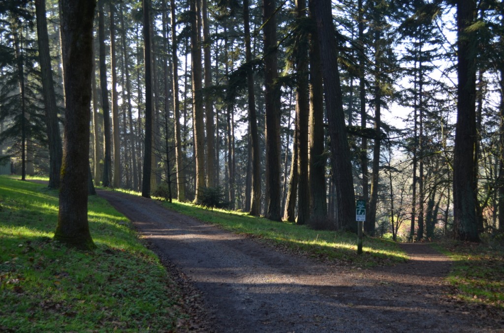 Hendricks Park