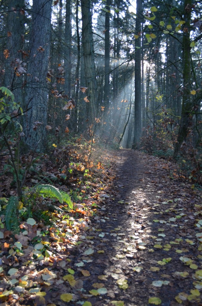 Ridgeline Trail Systems