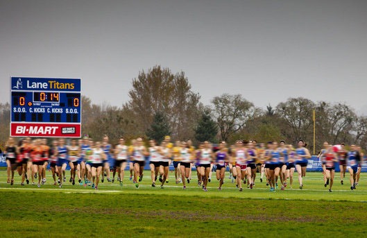XC